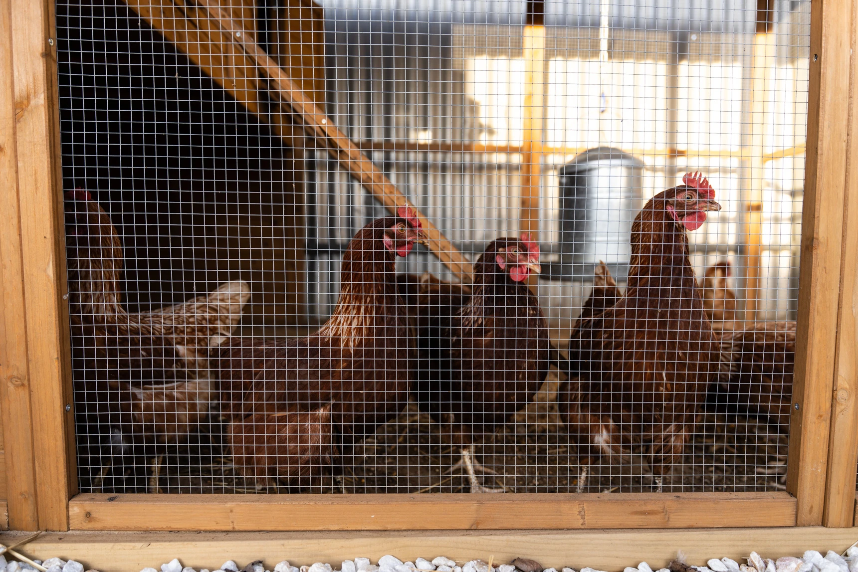 All the New Adelaide Openings We Got Excited About This Spring (So Far)